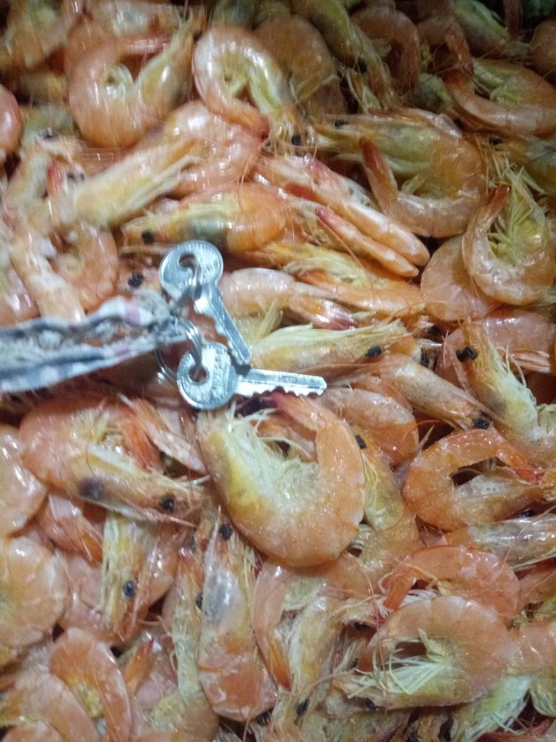 金红鲳、虾