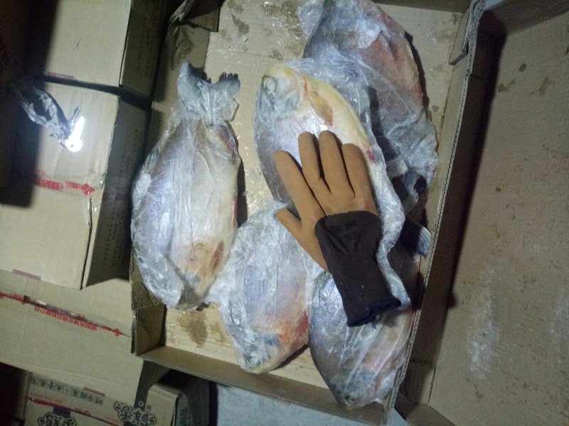 金红鲳、虾