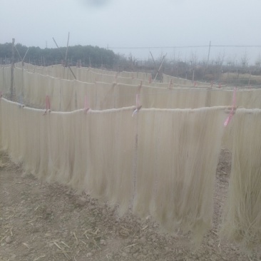 红薯粉条