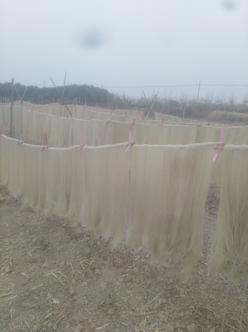红薯粉条