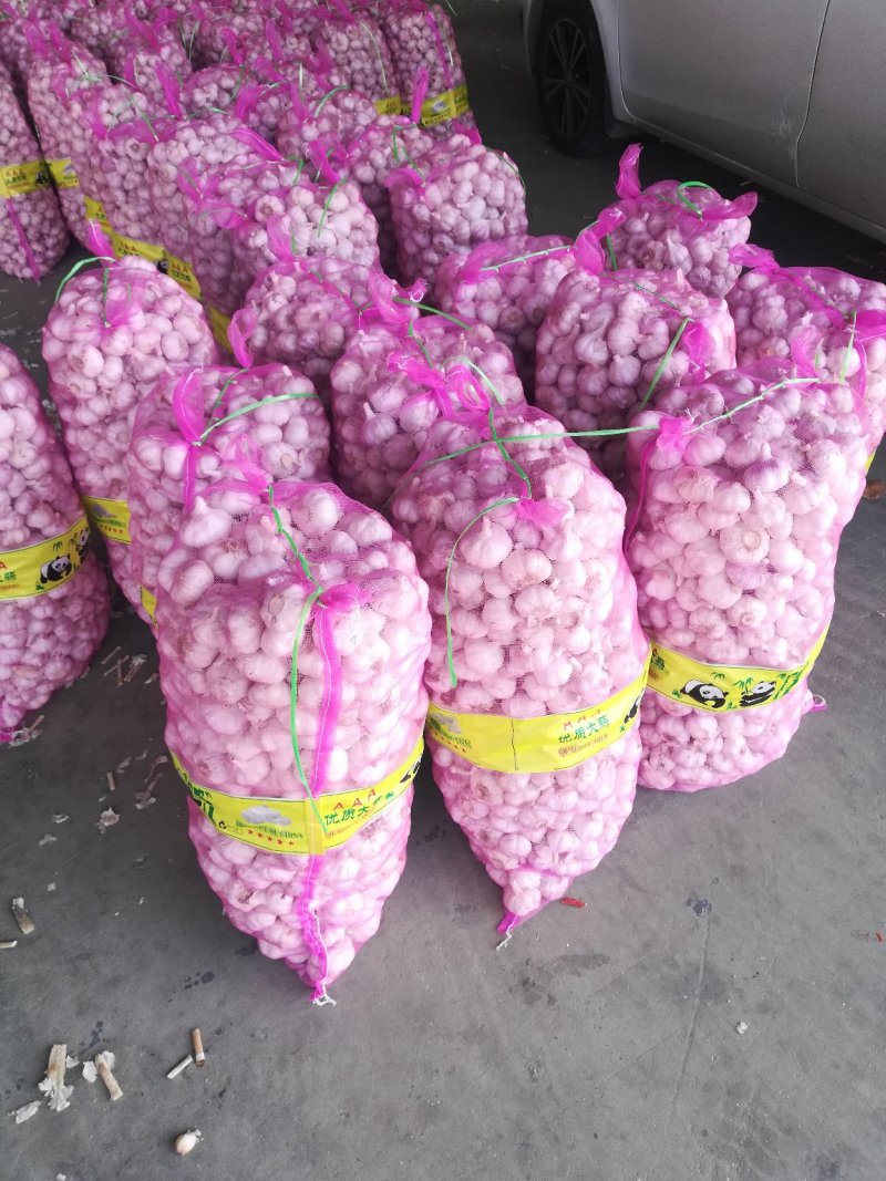 大蒜基地金乡，红皮大蒜，白皮大蒜精包装，市场通货天天供应