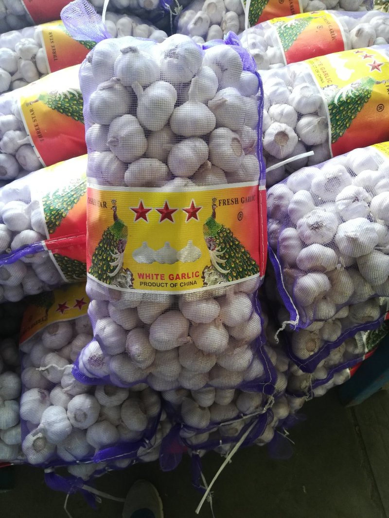 大蒜基地金乡，红皮大蒜，白皮大蒜精包装，市场通货天天供应