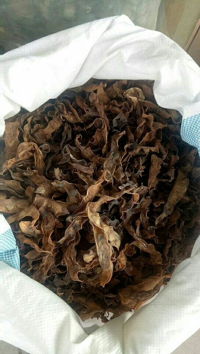 干梅豆，也叫扁豆