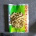 有需要的看过来……