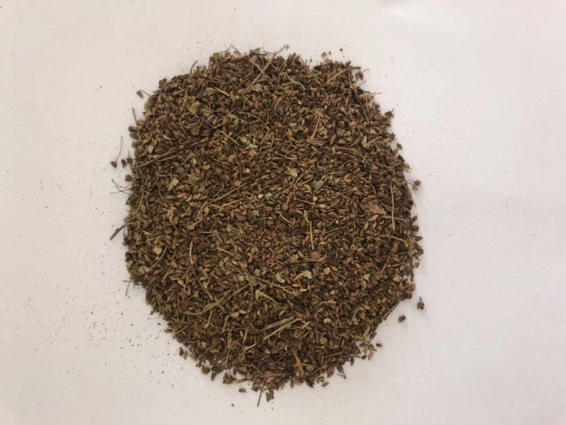 绣线菊种子