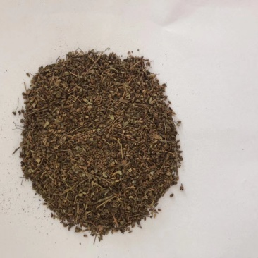 绣线菊种子