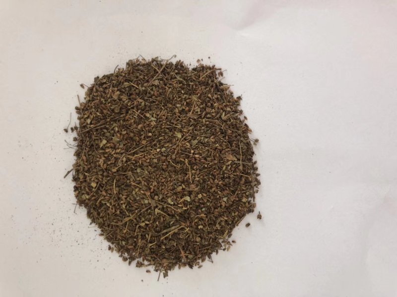 绣线菊种子