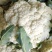 精品散花菜，实花菜，基地供货，提供各种包装，专业诚信代办