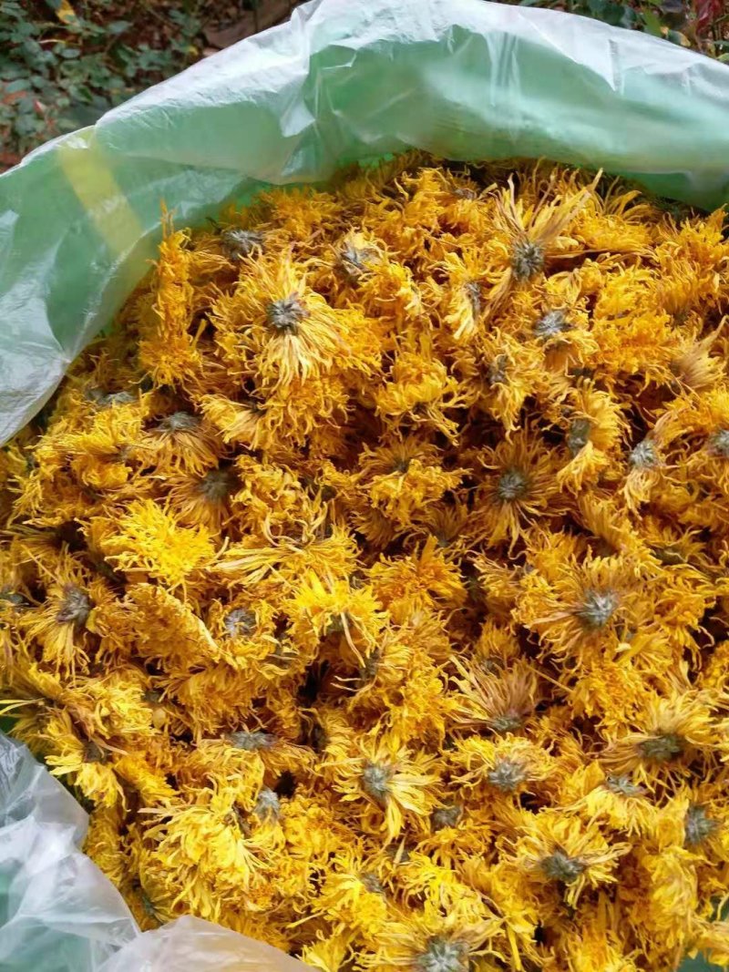 云南食用干菊花