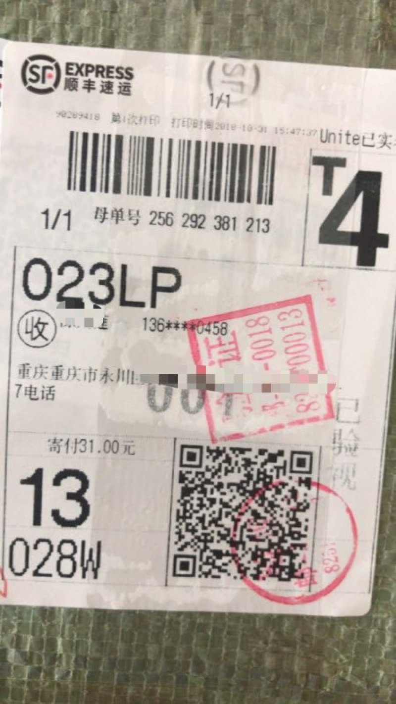 中华外塘甲鱼苗