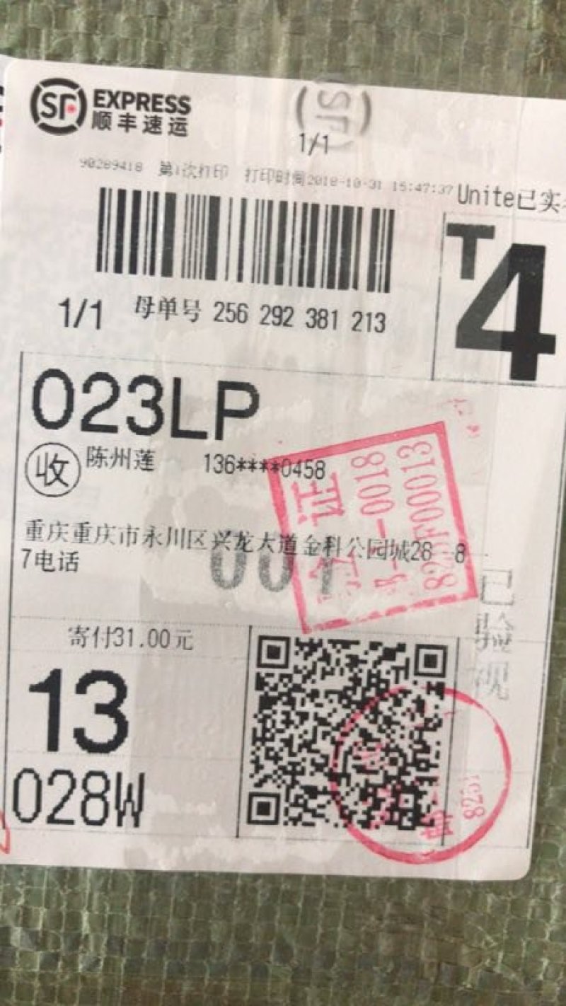 中华外塘甲鱼苗