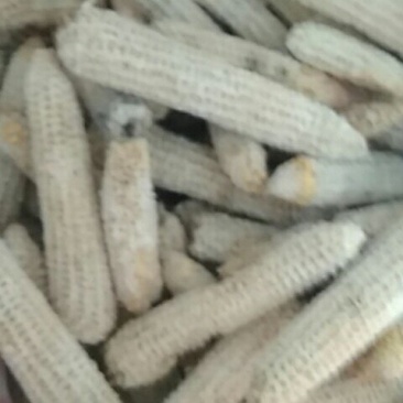 大大小小都有，是种姑的好财料