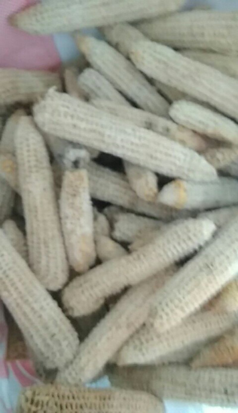 大大小小都有，是种姑的好财料
