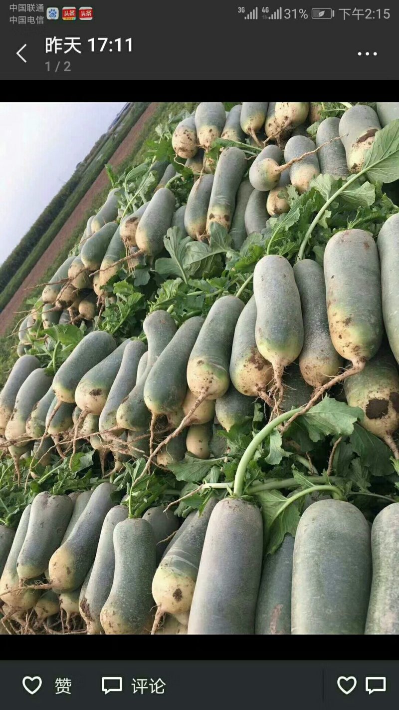 水果萝卜，