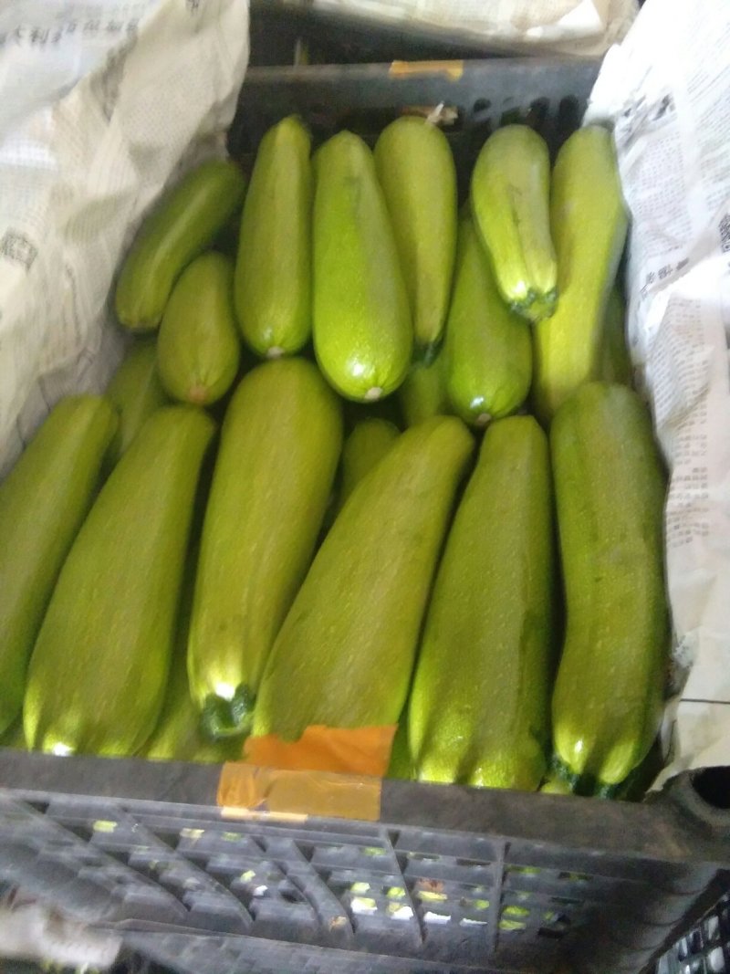 各种蔬菜都大量上市