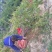 梨树，苹果树，柿子树，石榴树，樱桃树，杏树