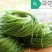 台湾野菜特菜/台湾野莲每天采摘，当天发货