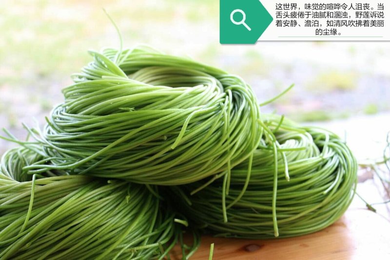 台湾野菜特菜/台湾野莲每天采摘，当天发货