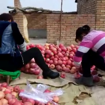 光果