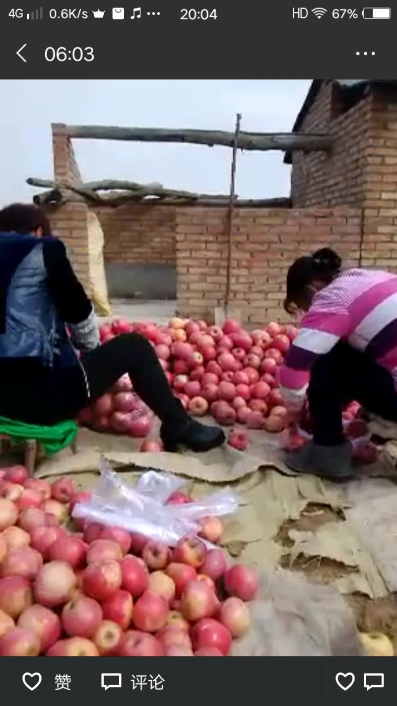 光果