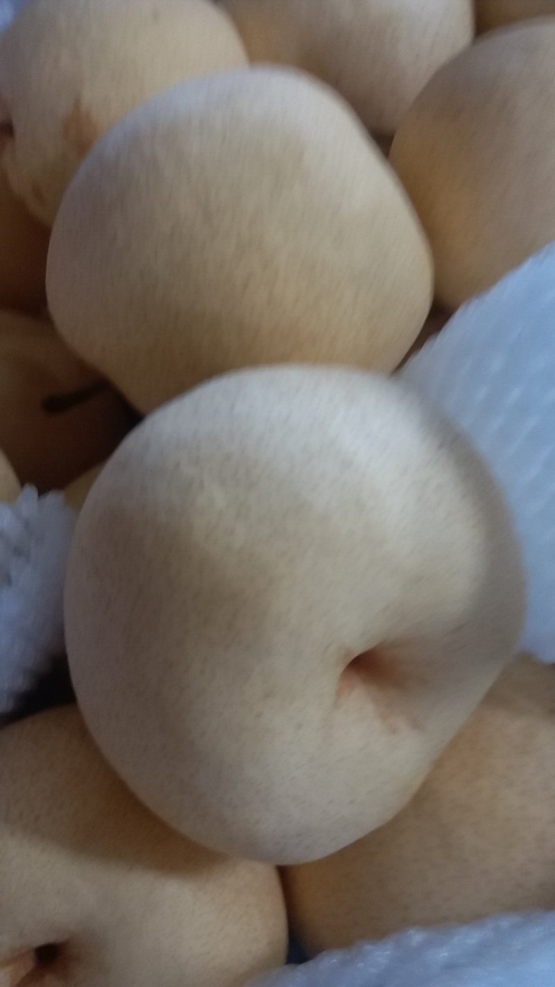 美味脆甜梨