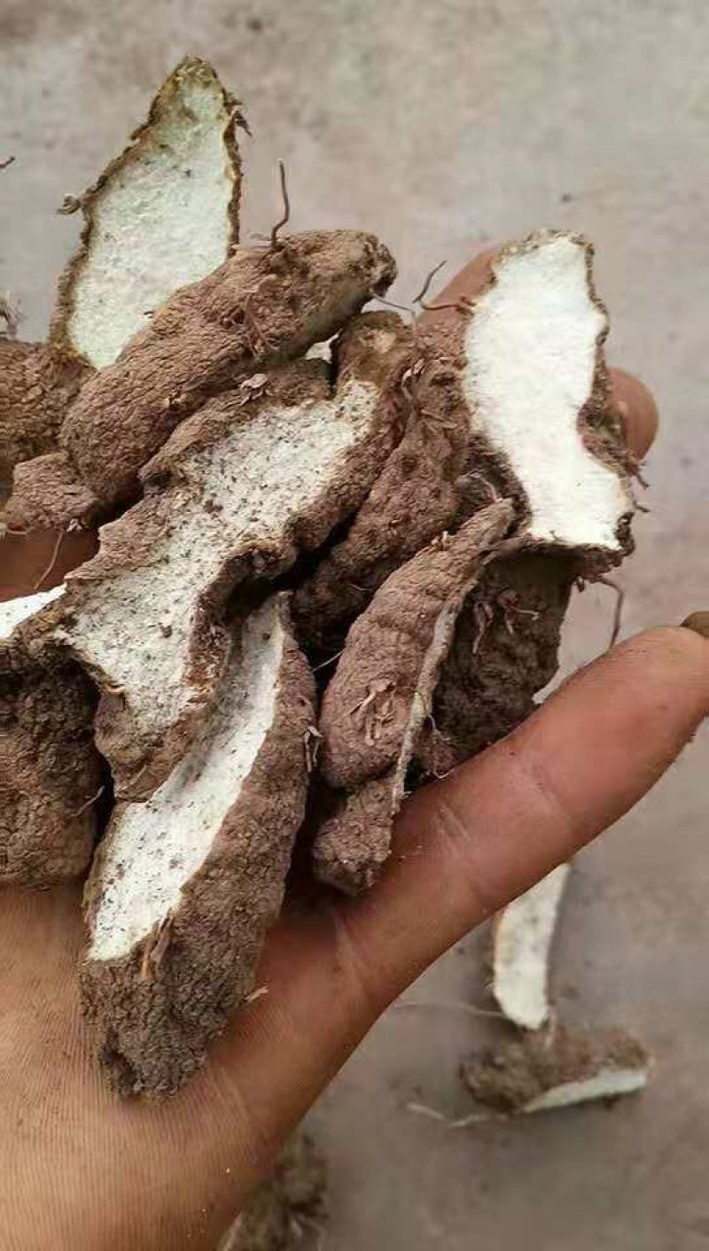 萆薢