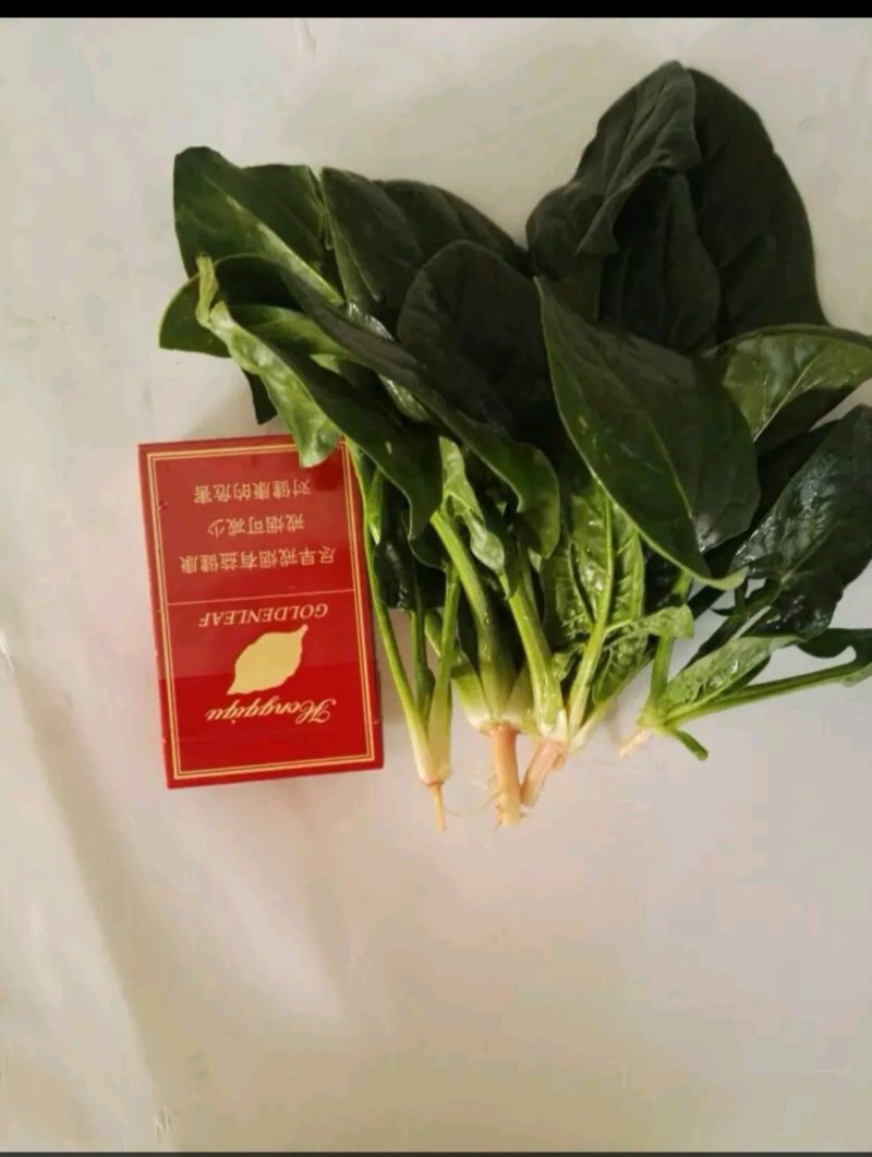 精品墨玉绿菠菜20一25厘米，颜色黑亮