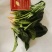 精品墨玉绿菠菜20一25厘米，颜色黑亮