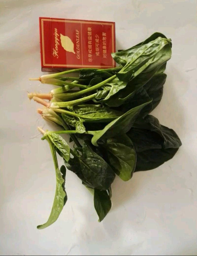 精品墨玉绿菠菜20一25厘米，颜色黑亮