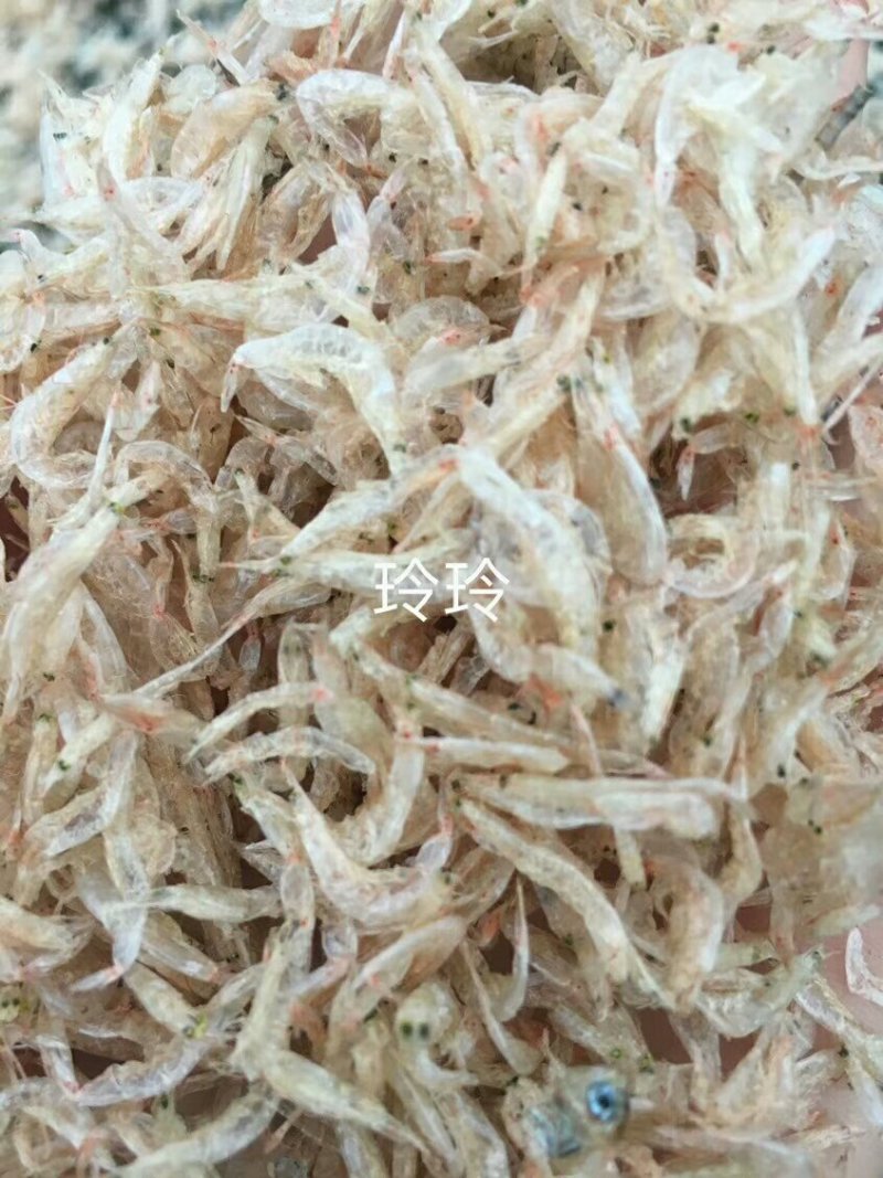 虾皮