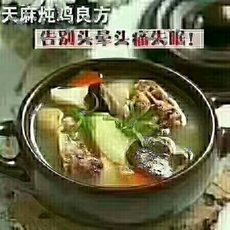 正宗昭通小草坝仿野生天麻新鲜天麻批发