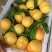 黄金蜜桃4号树苗80cm以上