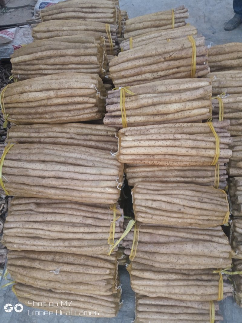 大量供应小白嘴白山药