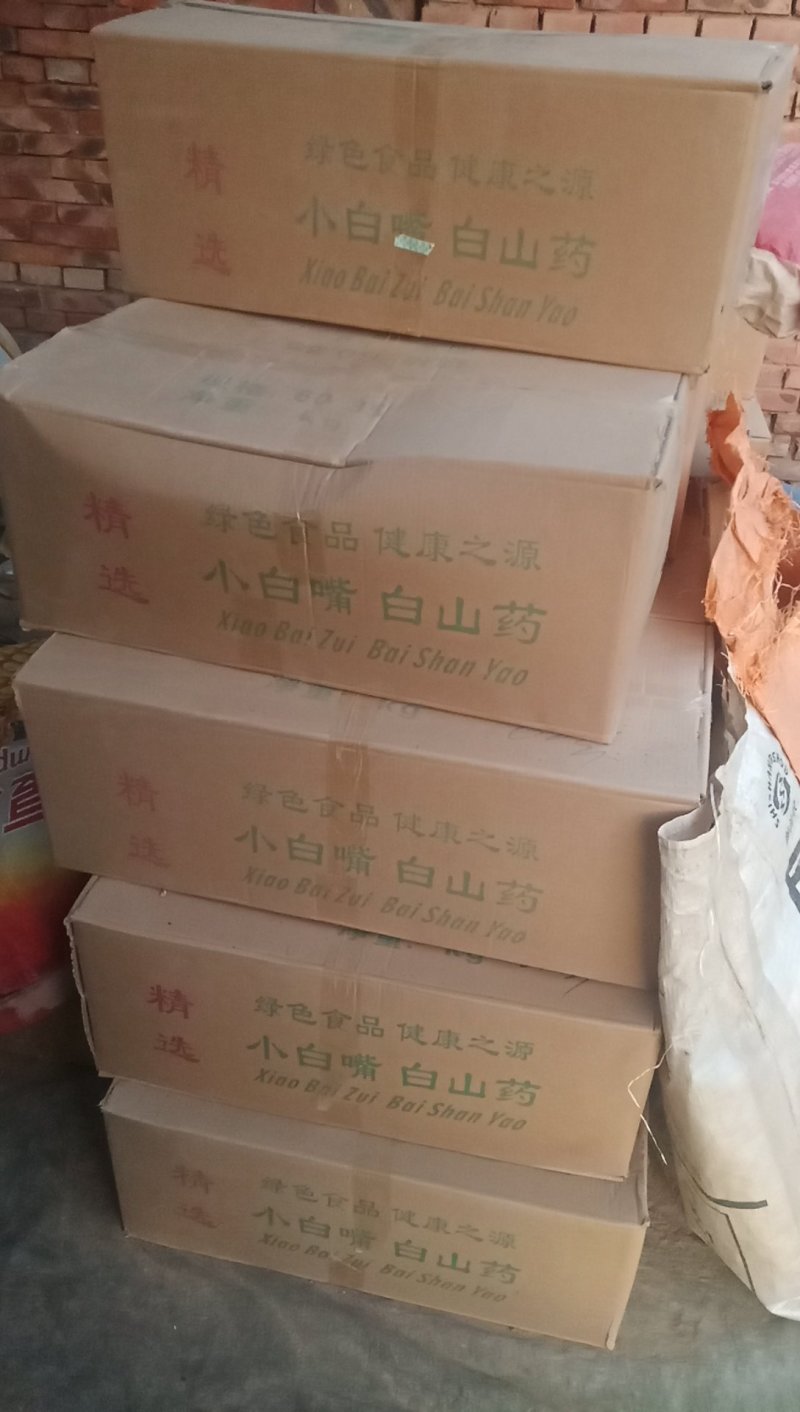 白山药大量上市白山药价格优