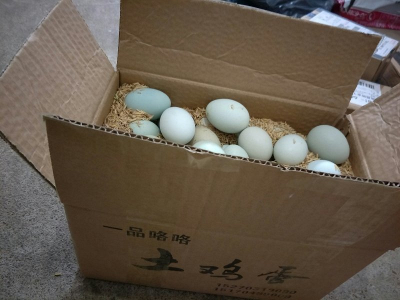 土鸡蛋，绿壳鸡蛋