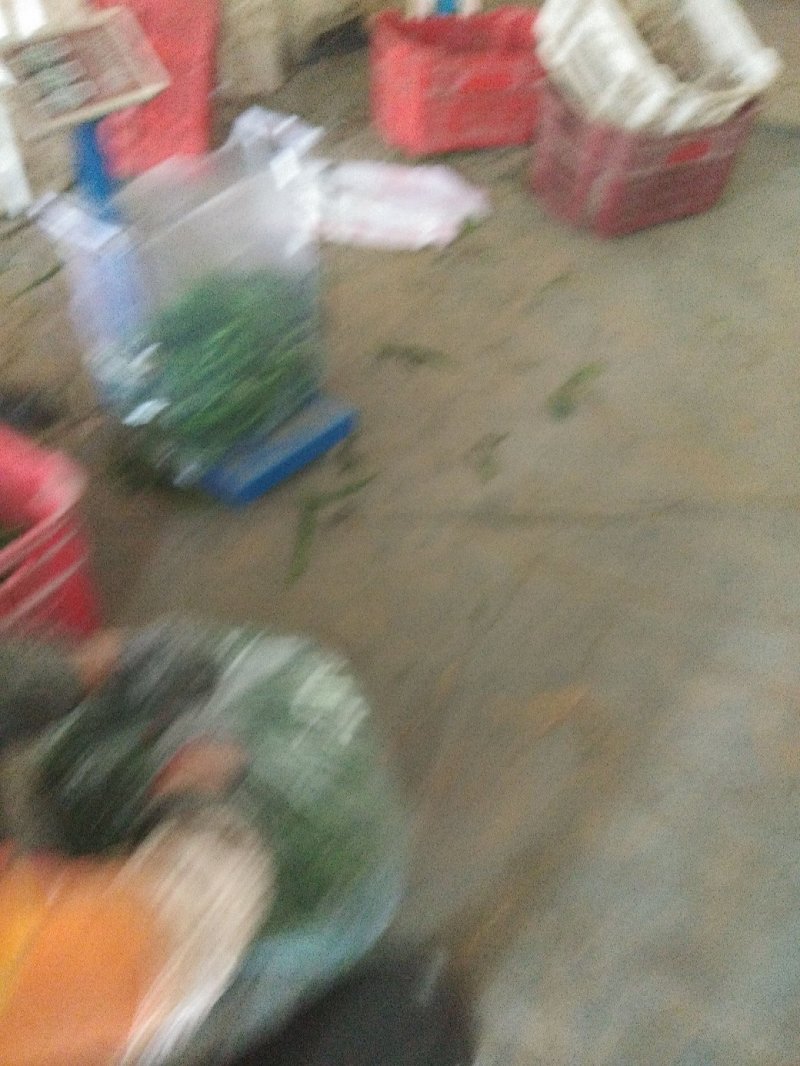 黑线以大量上市需要的联系我