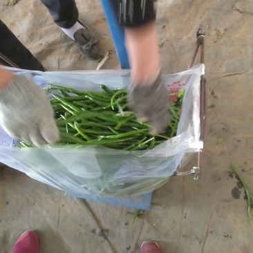 黑线以大量上市需要的联系我