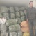 黑线以大量上市需要的联系我