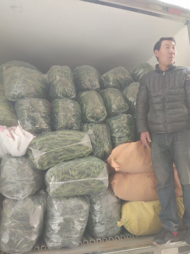 黑线以大量上市需要的联系我