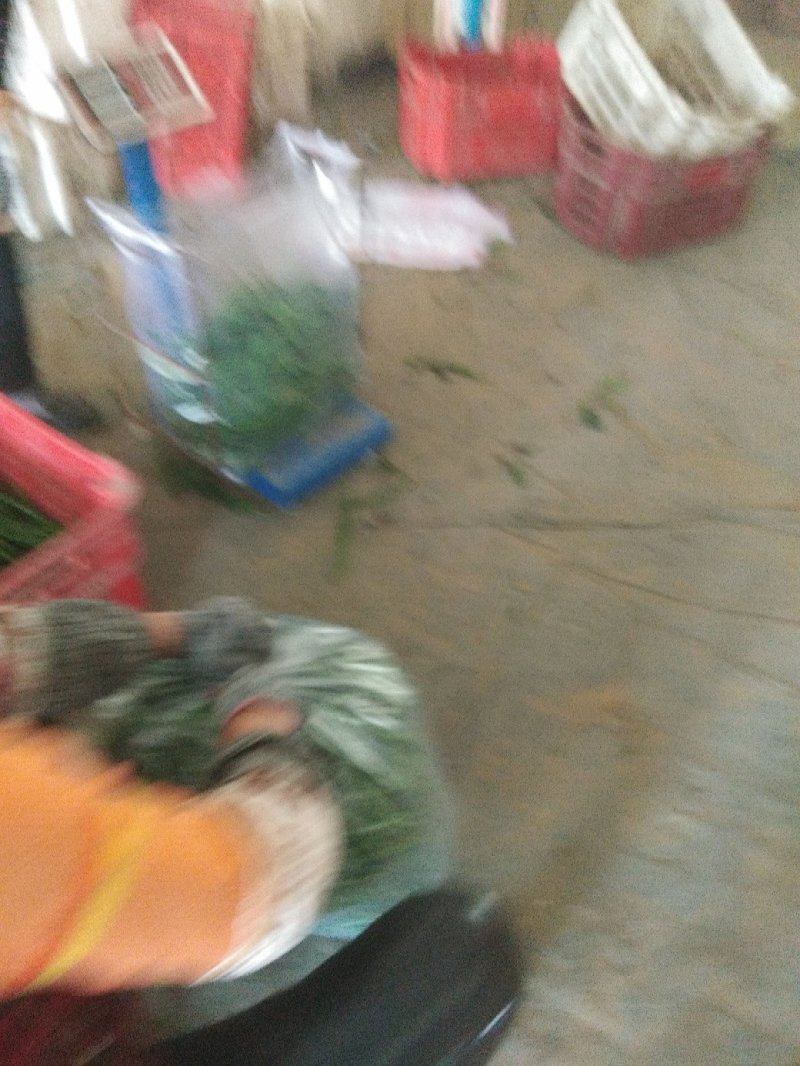 黑线以大量上市需要的联系我