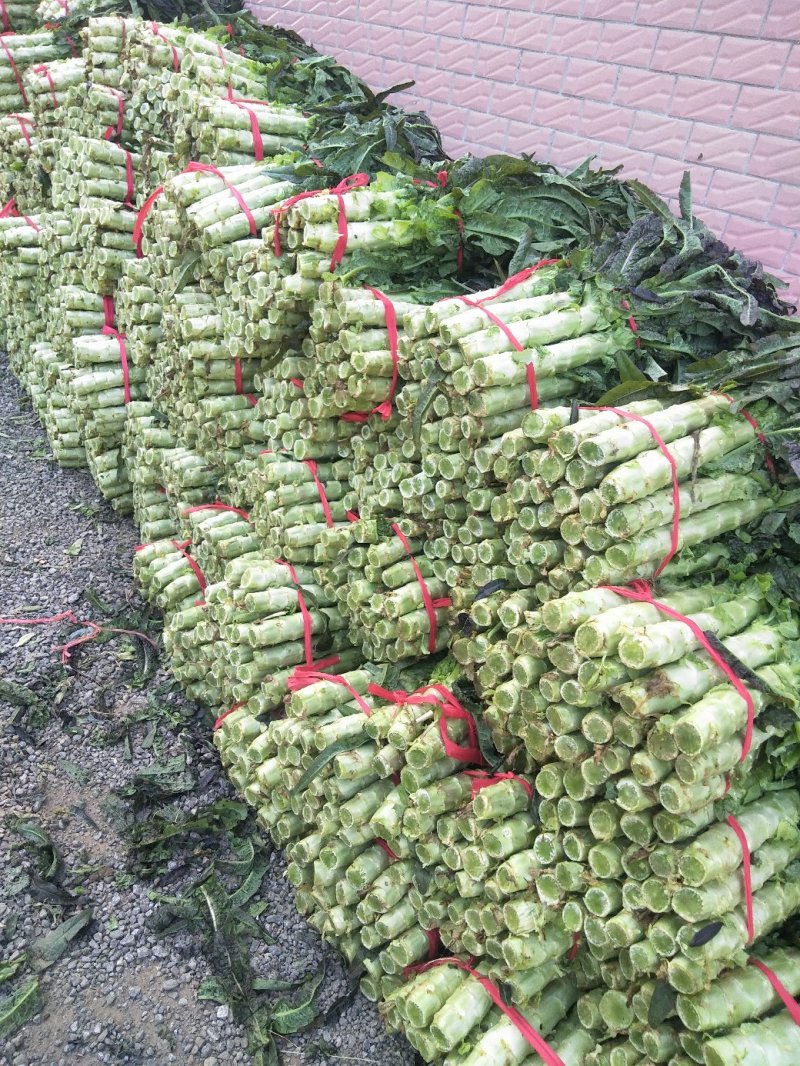 莴笋河南省南阳市新野县