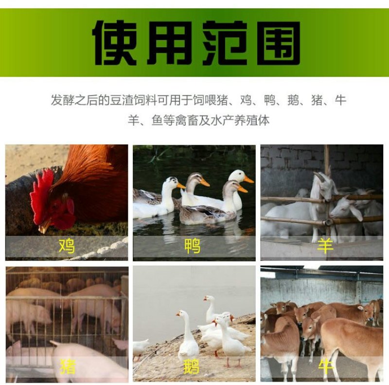豆渣发酵剂豆腐渣专用发酵剂黄豆渣喂鱼养鸡羊猪养殖饲料发酵