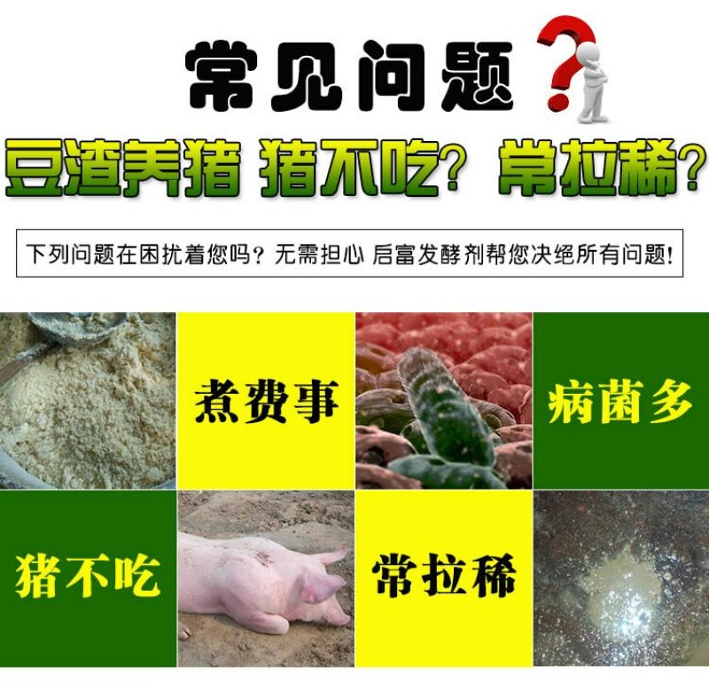 豆渣发酵剂豆腐渣专用发酵剂黄豆渣喂鱼养鸡羊猪养殖饲料发酵
