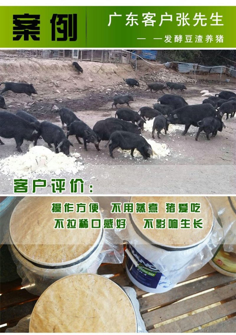豆渣发酵剂豆腐渣专用发酵剂黄豆渣喂鱼养鸡羊猪养殖饲料发酵