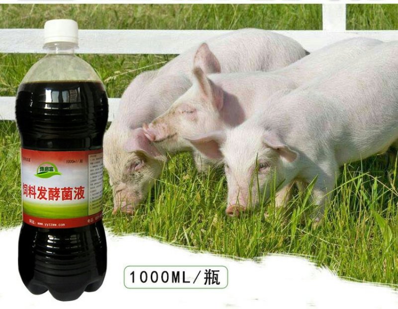 豆渣发酵剂豆腐渣专用发酵剂黄豆渣喂鱼养鸡羊猪养殖饲料发酵