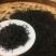 福建安溪正山小种红茶特级品一斤680块钱