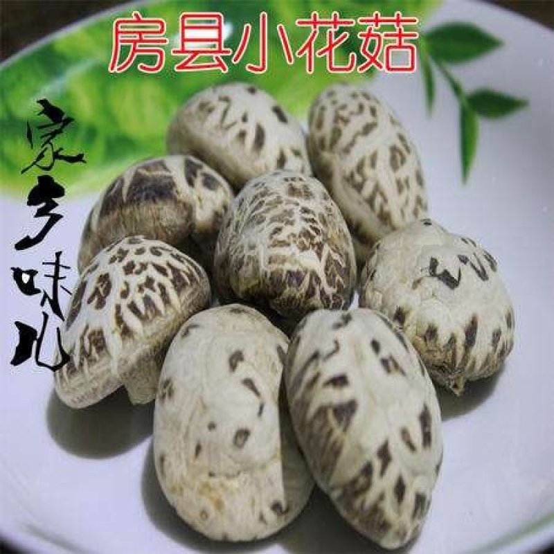 湖北房县黄酒伏汁