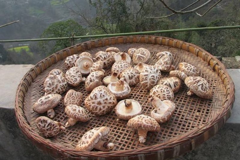湖北房县黄酒伏汁
