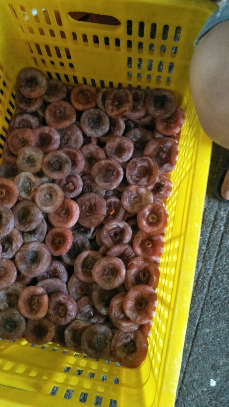 好吃的柿饼