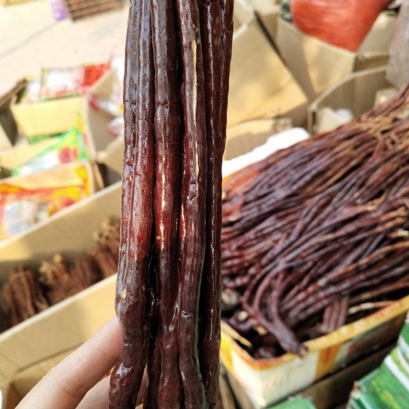 灵芝草